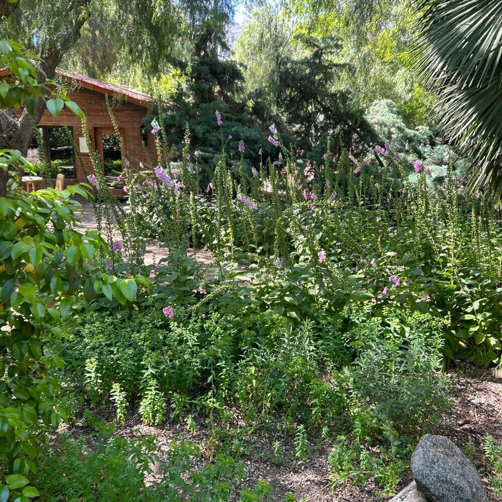 Vacation Time - Picture 6 of 6